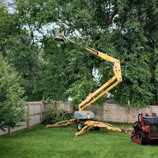 Trusted Ronkonkoma, NY Tree Services Experts